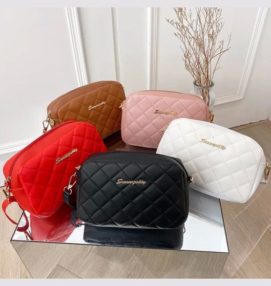 Tassel Small Messenger Bag For Women 2024 Trend Lingge Embroidery Camera Female Shoulder Bag Fashion Chain Ladies Crossbody Bags 1